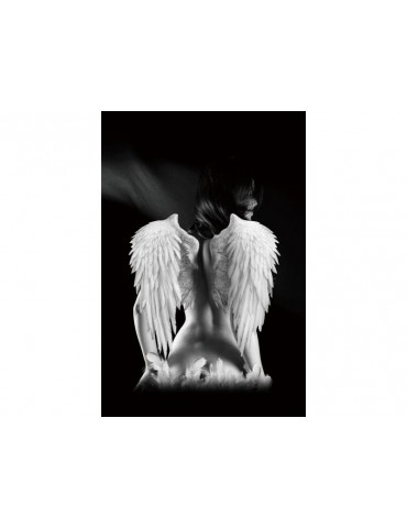 Obrázok ANGEL