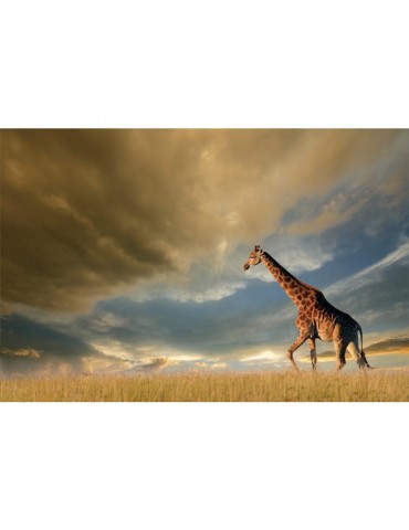 Obrázok GIRAFFE